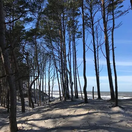 Rodzinny Z Duzym Tarasem